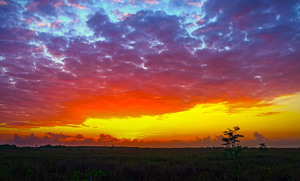 Fire on the Plain - Photo by Mary Anne Sirkin