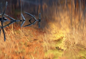 Fire on Water - Photo by Gary Gianini