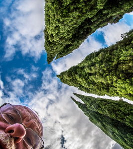 Fisheye Firs and Fool With Furrowed Forehead - Photo by John Straub