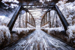 Flower Bridge - Photo by Frank Zaremba MNEC