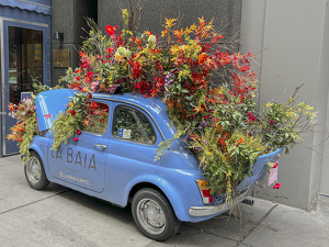 Class B HM: Flower Shop Advertising by Pamela Carter