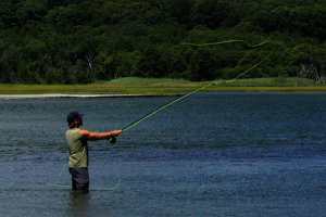 Fly Fishing - Photo by Bill Latournes