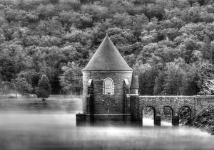 Fog B&W - Photo by Richard Busch