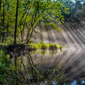 Fog lifting off of the Farmington River - Photo by Bill Payne