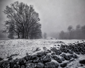 Foggy Colebrook morning - Photo by John Parisi