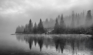 Foggy Lakeshore Sunrise - Photo by Nancy Schumann