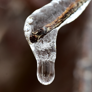 Class B 2nd: Freezing Rain by Nick Bennett