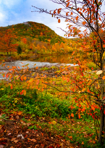 From the covered bridge - Photo by John Parisi