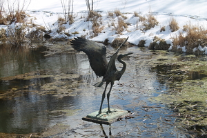 Frozen in Place - Photo by James Haney