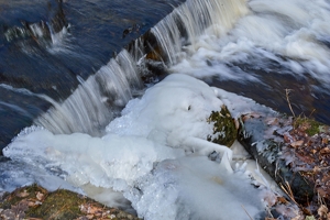 Frozen or Not - Photo by Charles Hall