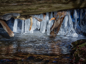 Frozen Stalactites - Photo by Frank Zaremba MNEC