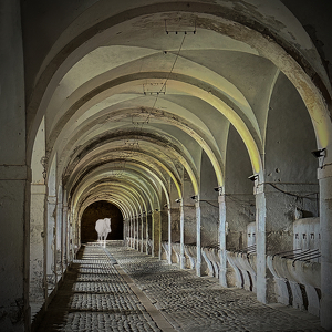 Ghost in the Roman Stable - Photo by Eric Wolfe