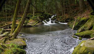 Go with the Flow - Photo by Ben Skaught