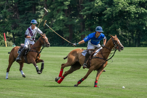 Going for the Shot - Photo by Lorraine Cosgrove