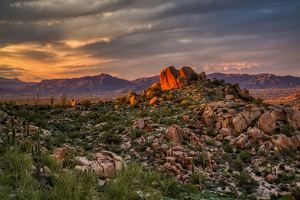 Golden Hour Highlights - Photo by Ben Skaught