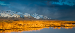 Golden Hour in Iceland by Danielle D'Ermo