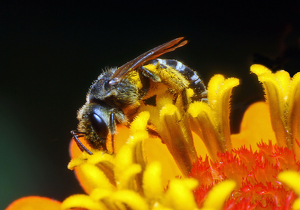 Good eats - Photo by Ron Thomas