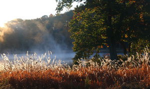 Granby Farm in morning - Photo by David Robbins