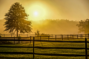 Granby Sunrise Mist - Photo by Jim Patrina