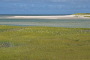 Class B HM: Grass and Bay by Kevin Hulse