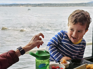 Great Grandma Claw Attack at Lunch - Photo by David McCary