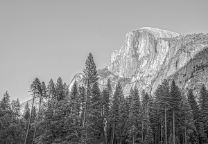 Half Dome - Photo by Jim Patrina