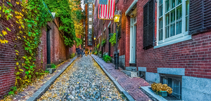 Hangin' on Beacon Hill - Photo by Libby Lord