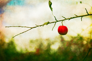 hanging on for dear life - Photo by John Parisi