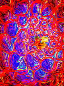 Happy Soul of a Bold Flower - Photo by Eric Wolfe