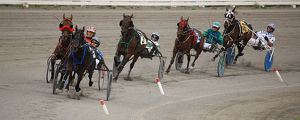 Class A 2nd: Harness Racing by Bill Latournes