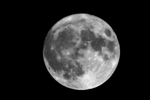 Harvest Moon - Photo by Harold Grimes