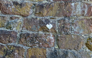 Have a Heart, Newgate Prison - Photo by John Clancy