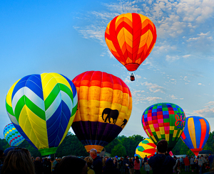 Heading for the Heavens - Photo by Linda Miller-Gargano