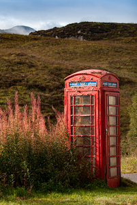 Hello? - Photo by Linda Fickinger