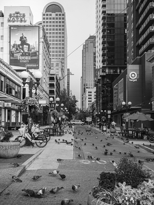 Historic Pioneer Square District - Seattle - Photo by Quannah Leonard