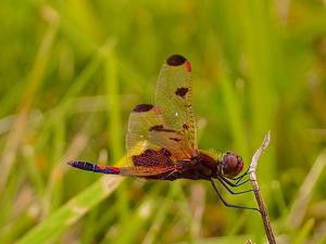 Holding On - Photo by Quyen Phan