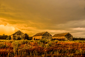 Hoskins Road Barns - Photo by Jim Patrina