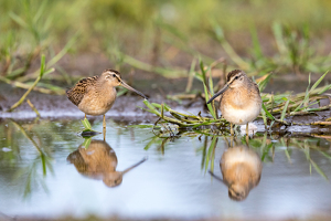 How's the fishing here? - Photo by Nancy Schumann