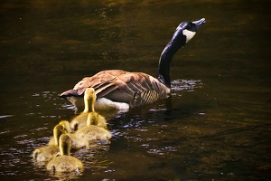 Hurry up, letÃ¢â¬â¢s go - Photo by Quyen Phan