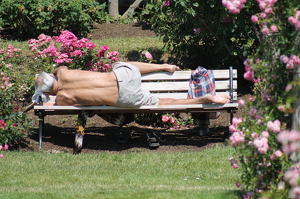 I Love my Bench - Photo by James Haney