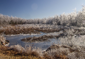 Ice Storm - Photo by Jim Patrina