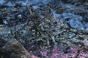 Icy Brook in Mid February - Photo by Chip Neumann