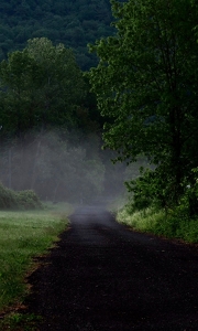 Into the Fog - Photo by Quyen Phan