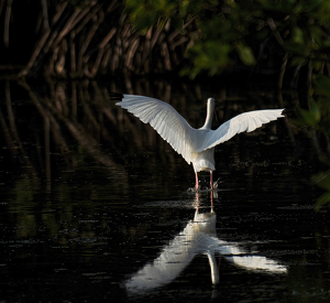 Into the Unknown - Photo by Linda Fickinger