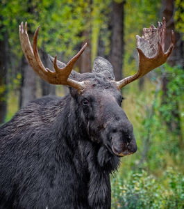 I've Got My Eye On You - Photo by John McGarry