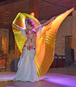 Jordanian Belly Dancer - Photo by Louis Arthur Norton