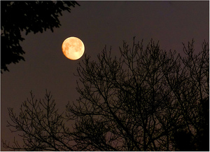 Just Before Sunrise - Photo by Bruce Metzger