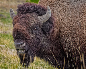 Keep Your Distance - Photo by John McGarry