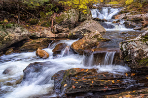 Salon HM: Kent Falls in the Autumn by Bill Payne