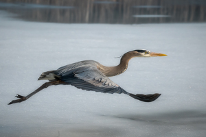 Late Spring Ice Makes for Tough Fishing - Photo by Bill Payne